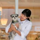 몽마르쉐 이미지