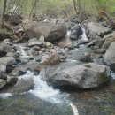 하나농장 이미지