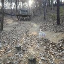 장림오일뱅크 화장실 | 여주 펫마운틴 강아지 대관 운동장 리뉴얼 B존 다녀왔어요