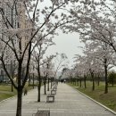 유림-1060 이미지