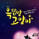 옥탑방 고양이 이미지