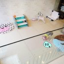 호담동물병원 이미지