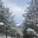 무릉도원면-24 | 계곡과 산으로 둘러쌓여있는 청정 자연 영월캠핑장! 영월가자펜션&amp;캠핑장 후기