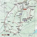 대관령로뎀나무 이미지