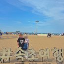 1박 2일 여행! 관광지는 안가요! 속초, 양양, 강릉에서 먹기만 한 1박2일! 왕박골식당, 속초중앙시장...