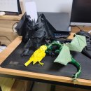 라피스게코 | 대구 모임 후기