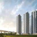 쑥시원한 이미지