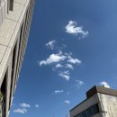 카페 오스페이스 | 나고야 가챠샵 버스벨 득템 당 고 피규어 게임기 구경 오스상점가 단톤