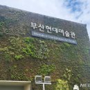 노래하는 땅 이미지