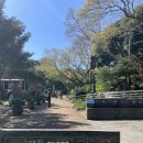 비자림스마일 이미지