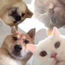 한서커텐 | [1月] 기쁨이 더 또렷해지기 위해