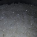 수백농장 이미지