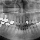 365안락한치과의원 이미지