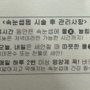 룩앳브로우 네이버블로그