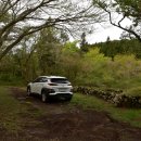 한라산둘레길 돌오름길 | 한라산둘레길 돌오름길