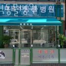 태평역 동물병원 | 성남 수진동 동물병원 태평역동물병원 진료시간 접근성 이용후기