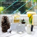 레몬비 서귀포시청점 | 제주 서귀포카페 | '레몬뮤지엄'에서 아이와 레몬젤리 만들기 체험!
