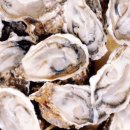 굴로장생 이미지