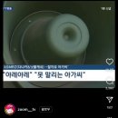 “야레야레” ”못말리는 돼저씨“ 이미지