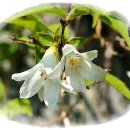 기계봉좌마을 이미지