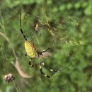 경기둘레길 가평21코스 | 2024.9.18. 경기둘레길 가평21코스