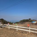 미인목장 | 남해가볼만한곳 남해양떼목장 양모리학교 요금 예약 준비물 부모님모시고 후기