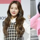 홍지윤 카카오 검색결과