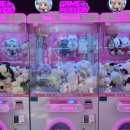 뽑기클라쓰 이미지