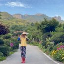 월악산민박 이미지