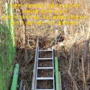 새봄농장(2) 이미지