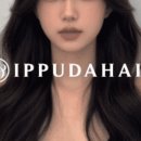 세실로 48 이미지