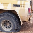 차앤차모터스 이미지