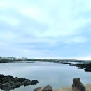 노리민박 | 🐈제주 여성전용 독채 에어비앤비 노리민박 유자룸