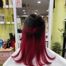 헤어두비취 이미지