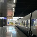 김&정해운대병원 | [호주 유학 준비 3, 4] 생체 인식, 신체검사받기 + 준비물 / 학생비자 받기