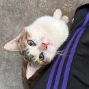 [뭐라도학교] 월담 2월 | 영크크 말고 크크크 치킨 (2월 블로그 라는 뜻)