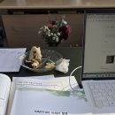 MMPI - 2 Rf A 워크숍 이미지