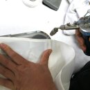 맵시세탁소 이미지