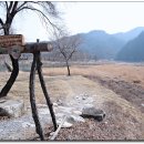 여기,초록 이미지