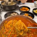 오로지생태한마리 이미지