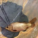 약수 낚시터 이미지