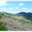 매봉산 바람의언덕 이미지