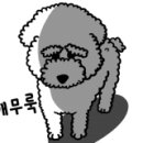 럭셔리하개 이미지