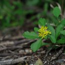 기린초등학교 이미지