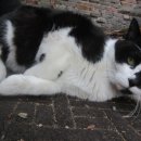 은애마당 이미지