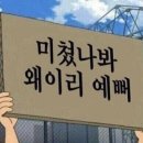 데코링 네이버블로그