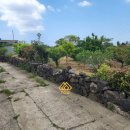 도토공인중개사사무소 이미지