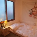아랑민박 | [제주 감성숙소] 아랑민박 내돈내산 찐 후기 (독채민박 및 게하, 반려동물 가능)