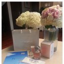 Vancleef &amp; Arpels 반클리프 아펠 Reve 향수 런칭 행사 후기 - 2013.07.04