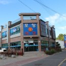 불미골오리 이미지